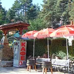 сладък живот Tsigov Chark