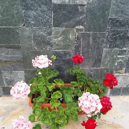 Villa сладък живот *