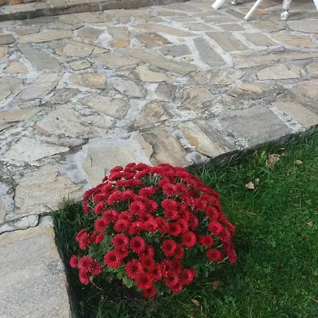 сладък живот Villa Tsigov Chark