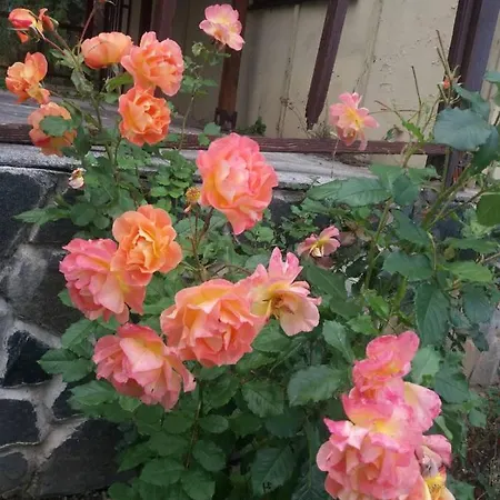 сладък живот Вилла *