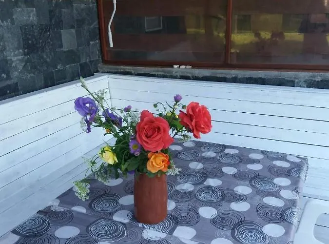 сладък живот * Tsigov Chark