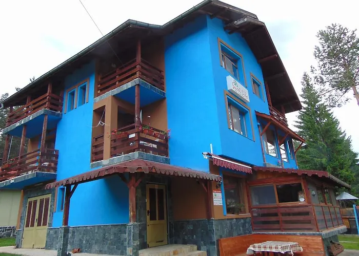 сладък живот Tsigov Chark